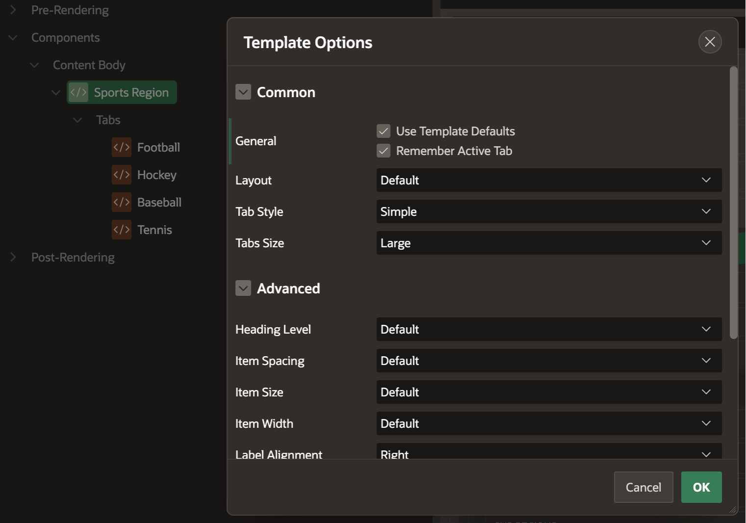 A screenshot of the Template Options for the tabs region.